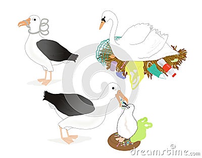 Set of Three Plastic pollution illustration swan and Albatross Cartoon Illustration