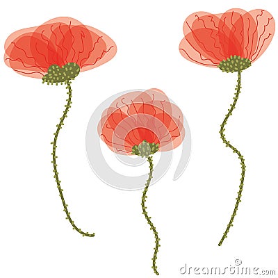 Set of three poppy flower vector illustrations Vector Illustration