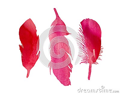 Set of three red pink fuchsia watercolor bird feathers Stock Photo