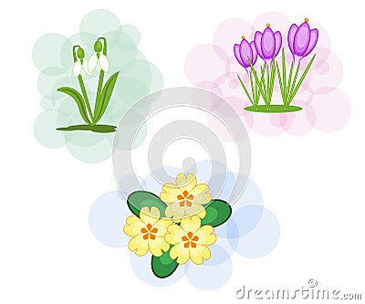 A set of three spring flowers on soft backgrounds Stock Photo