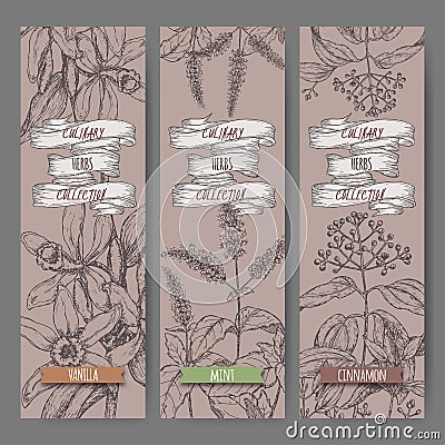 Set of three vector banners with mint, vanilla, cinnamon sketch. Culinary herbs collection. Vector Illustration