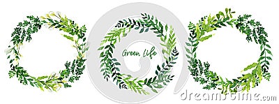 Set of three watercolor greenery wreaths, hand drawn leaves Vector Illustration