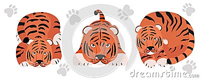 Set of Tigers. Stylized cute animals of different poses. Funny cartoon character Vector Illustration