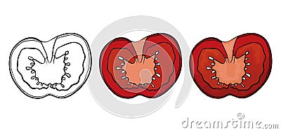 Set with tomato slices in different versions, Vector illustration Vector Illustration