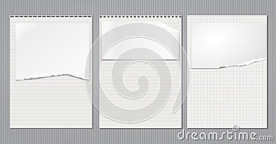 Set of torn note, notebook lined, blank and squared paper sheets, strips are on lined background. Vector illustration Vector Illustration
