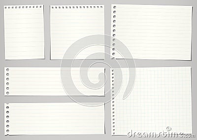 Set of torn notebook papers with lines and grid on Vector Illustration