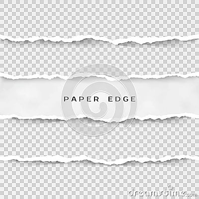 Set of torn paper stripes. Paper texture with damaged edge isolated on transparent background. Vector illustration Vector Illustration