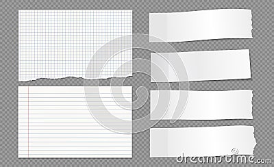 Set of torn, ripped lined, math paper strips with soft shadow are on grey background for text or ad. Vector Illustration