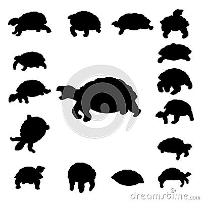 Set tortoise silhouette Vector Illustration