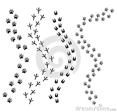 Set of traces of animals and birds. Collection of silhouetted footprints of wild animals. Vector illustration for Vector Illustration