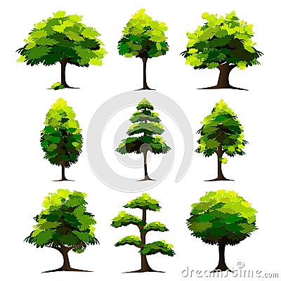 Set of Tree Vector Illustration