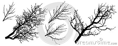 Set of tree branches silhouettes, vector illustration Vector Illustration