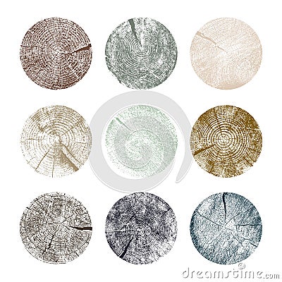 Set of tree rings. Wood texture of wavy ring pattern from a slice of tree. Grayscale wooden stump. Vector illustration. Isolated Vector Illustration