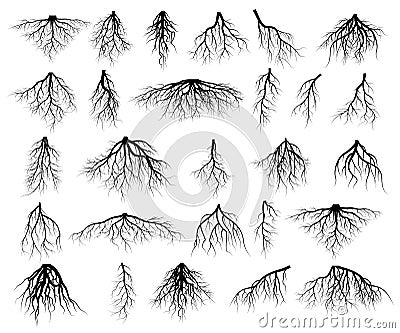 Set of tree roots Vector Illustration