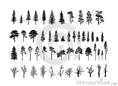 Set of tree silhouettes of different types and shapes isolated on white background. Vector Illustration