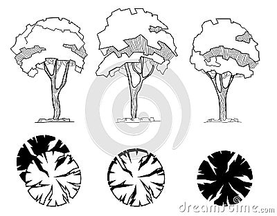 Set of trees for decoration and landscape architectural drawings. Exterior Features. Top view directly Vector Illustration