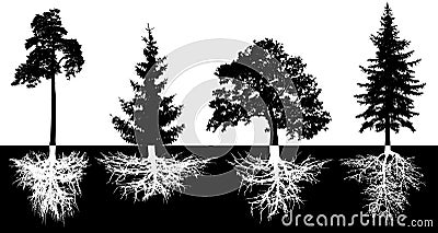 Set of trees with roots, vector silhouette. Vector Illustration