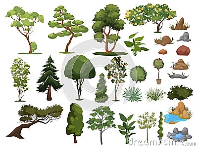 Set of trees and shrubs. Collection of landscape design elements. Vector illustration of plants. Coniferous and Vector Illustration