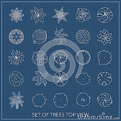 Set of trees. Top view Vector Illustration