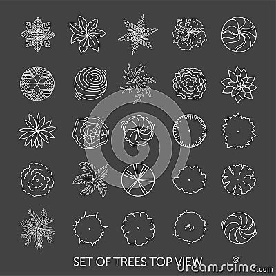 Set of trees. Top view Vector Illustration