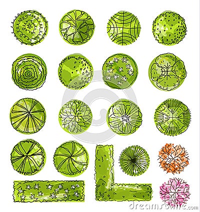 A set of treetop symbols, for architectural or landscape design. Vector Illustration