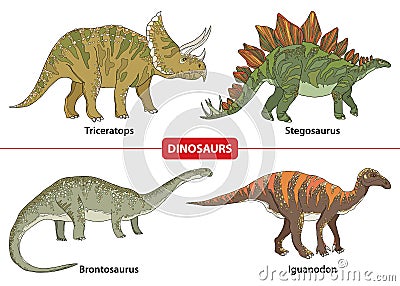 Set with Triceratops, Stegosaurus, Brontosaurus and Iguanodon on white background. Vector Illustration
