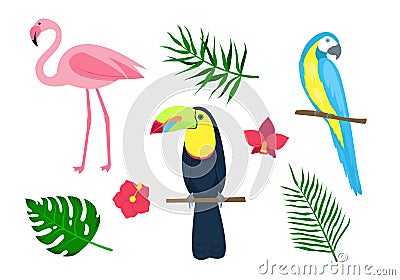 Set of tropical birds, palm leaves and flowers. Isolated on a white background. Vector Illustration