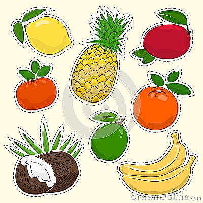 Set of Tropical and Citrus Fruit Stickers Vector Illustration