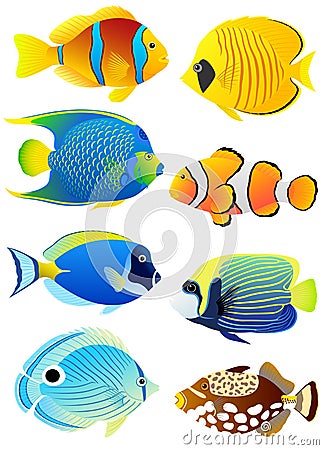 Set of tropical fish Vector Illustration