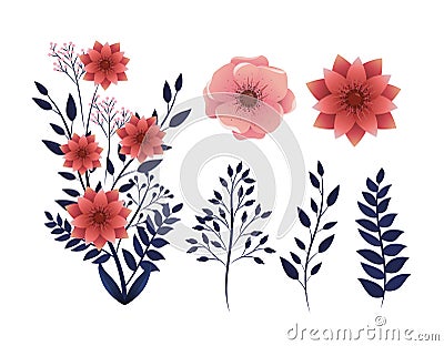 Set tropical flowers plants with nature branches leaves Vector Illustration