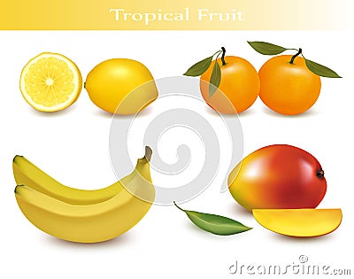 Set of tropical fruit. Vector Illustration