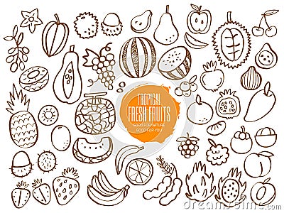 Set of tropical fruit doodles Vector Illustration