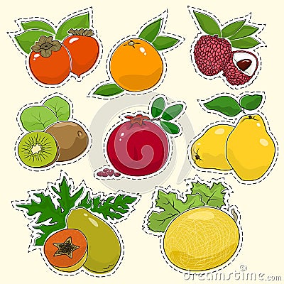 Set of Tropical Fruit Stickers Vector Illustration