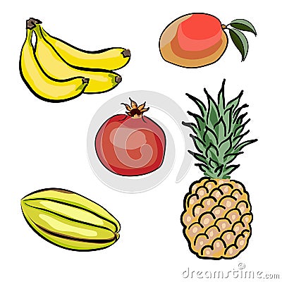 Set of tropical fruits hand drawn Vector Illustration