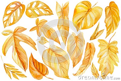 Set of tropical gold leaves on an isolated white background. Watercolor autumn illustration. Dry palm leaf Cartoon Illustration
