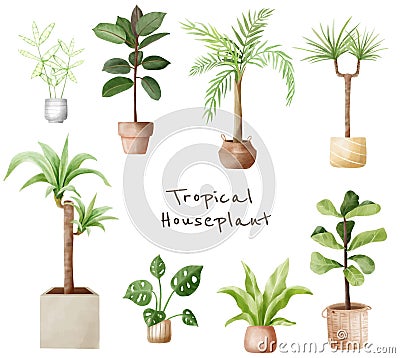 A set of tropical houseplants, Indoor plants in the flowerpot in watercolor vector Vector Illustration