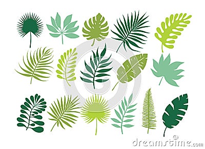 Set of tropical leaves. Jungle foliage Vector Illustration