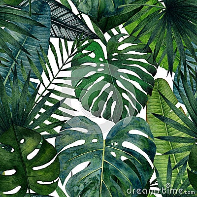 Seamless pattern with tropical leaves; monstera, palm, banana, saw palmetto, calathea. Watercolor illustration Cartoon Illustration