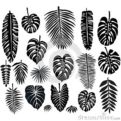 Set of Tropical Leaves Vector Illustration