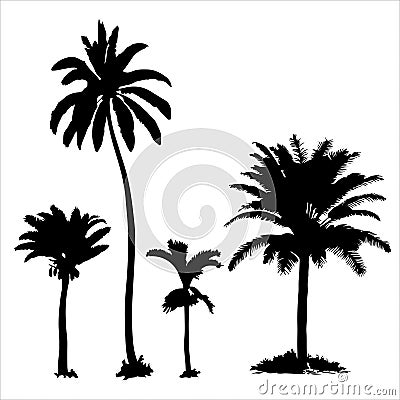 Set of tropical palm trees with leaves, black silhouettes isolated on white background. Vector Illustration