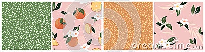 Set of Tropical seamless pattern with oranges flower leaf dots. Simple trendy fruit repeated background. Vector exotic design Vector Illustration