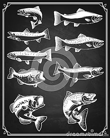 Set of trout, salmon and perch fish icons on grunge background. Vector Illustration