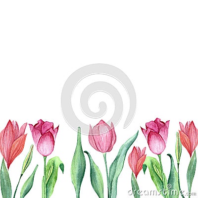 a set of tulips painted in watercolor Stock Photo