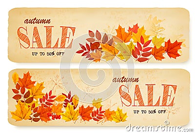 Set of two autumn sale banners with colorful leaves Vector Illustration