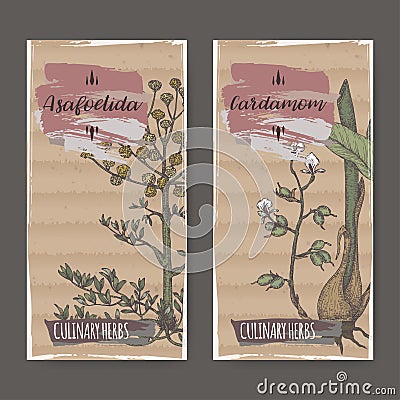 Set of two color labels with asafoetida and cardamom hand drawn sketch. Vector Illustration