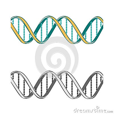 Set of two DNA symbols on white background Vector Illustration