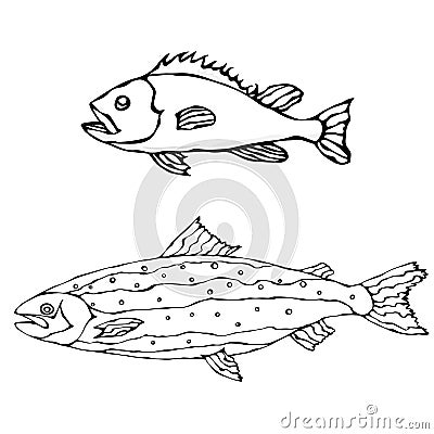 Set of Two Fishes. Freshwater Fish. Vector Illustration Isolated On a White Background Vector Illustration