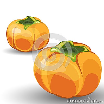 Set of Two Glossy Orange Permisson Vector Illustration