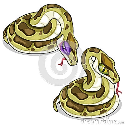 Set of two mesh pythons, one evil, another sick Vector Illustration