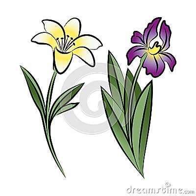 Set of two outlined flowers. Lily and iris Vector Illustration